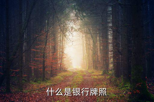 銀行牌照是什么，什么是銀行牌照