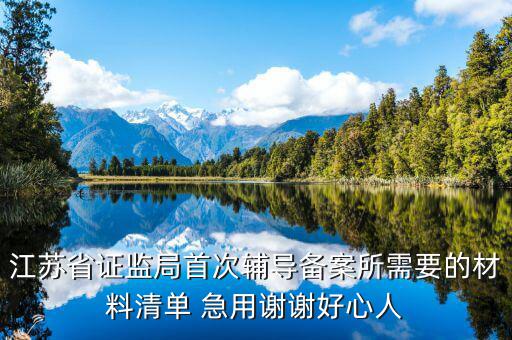 輔導(dǎo)備案登記受理是什么階段，我想問(wèn)一下辦一般納稅人申請(qǐng)后我們的輔導(dǎo)期是當(dāng)月 15小