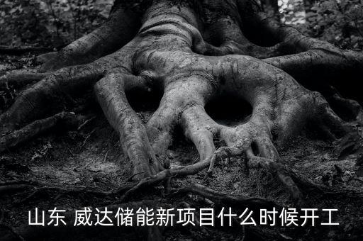  山東 威達(dá)儲能新項(xiàng)目什么時(shí)候開工