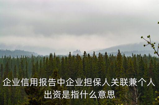 擔(dān)保人關(guān)聯(lián)是什么意思，企業(yè)征信中 擔(dān)保人關(guān)聯(lián)是什么意思