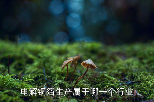 電子銅箔屬于什么行業(yè)，電解銅箔生產(chǎn)屬于哪一個行業(yè)