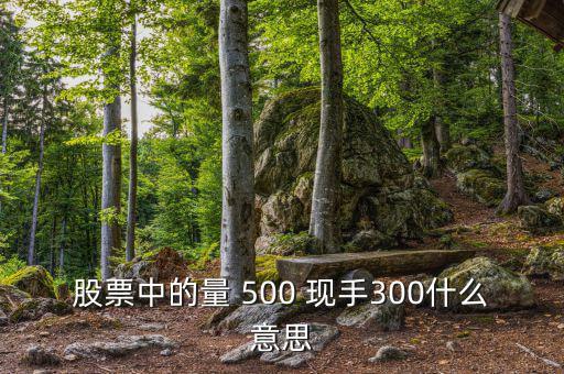 股票中的量 500 現手300什么意思