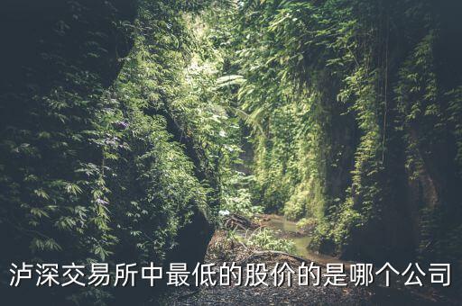 瀘a最便宜的股是什么股，A股最便宜的股票是什么股