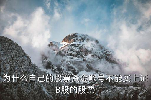 為什么買(mǎi)不了b級(jí)股，為什么大家不買(mǎi)分級(jí)b基金而買(mǎi)股票分級(jí)b基金比股票更公平完