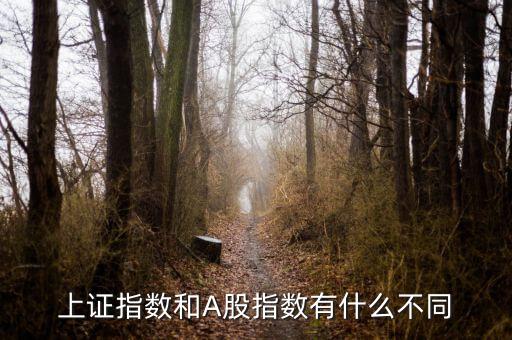 上證指數(shù)和A股什么區(qū)別，上證指數(shù)和A股指數(shù)有什么不同
