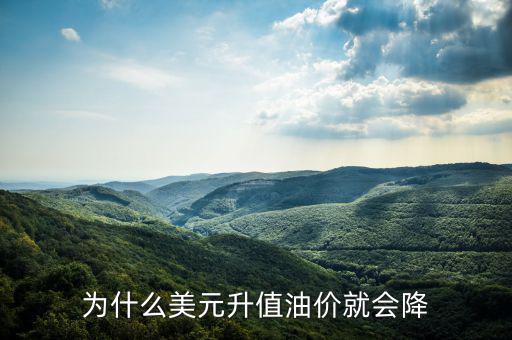 美國(guó)油價(jià)為什么跌，美國(guó)原油價(jià)格為什么會(huì)從100多美元跌到43美元并且分析以后的趨勢(shì)
