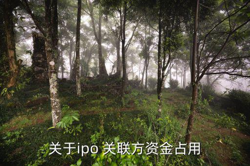 什么是關聯(lián)方資金占用，關于ipo 關聯(lián)方資金占用