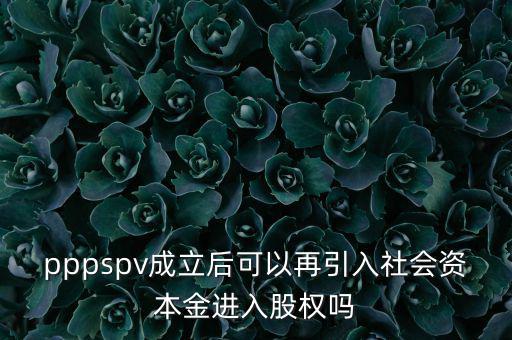 spv公司是什么意思，spv公司是獨立法人