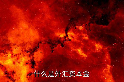 什么叫外匯資本金結(jié)匯，什么是資本金結(jié)匯