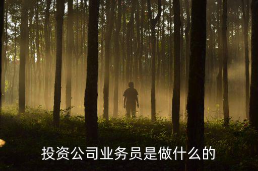 投資公司業(yè)務員是做什么的，投資公司業(yè)務員是做什么的