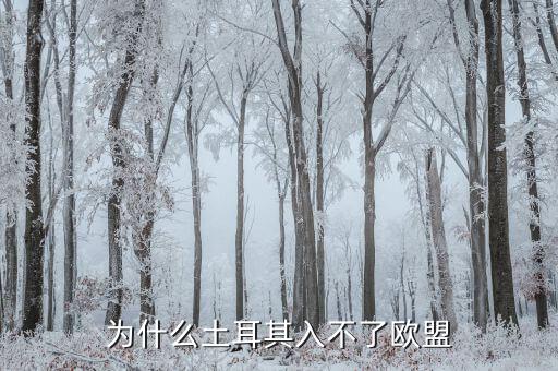 為什么土耳其無法加入歐盟，為什么土耳其入不了歐盟