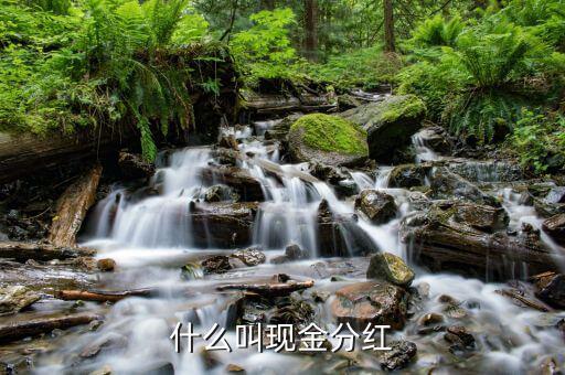 理財(cái)產(chǎn)品現(xiàn)金分紅是什么意思，現(xiàn)金分紅是什么意思