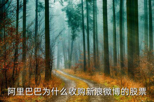 新浪微博為什么在盈利后才上市，新浪微博為何上市