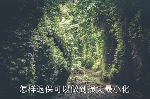 什么辦法能退保險(xiǎn)不損失，退保怎樣能減少損失