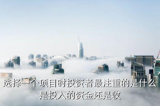投資人最看重什么投資收益，投資者最看重的是什么呢
