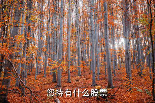 張正委持有什么的股票，香港中央代理人持有哪些股票