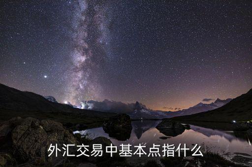 什么叫外匯市場的基本點，什么是外匯交易中的基本點