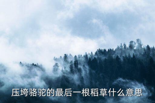 壓垮駱駝的最后一根稻草什么意思，壓死駱駝的最后一根稻草意味著什么