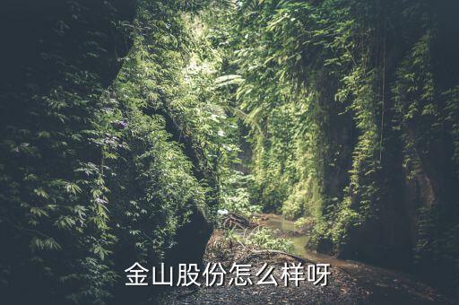 為什么沒人關注金山股份，金山股份怎么樣呀
