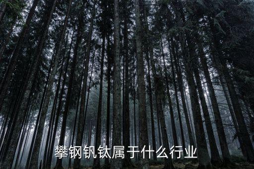釩鈦產(chǎn)業(yè)屬于什么行業(yè)，攀鋼釩鈦屬于什么行業(yè)
