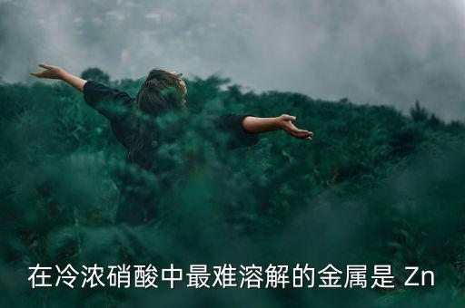 什么金屬易融難化，最不容易融化的金屬是什么想對來說便宜一點的是什么