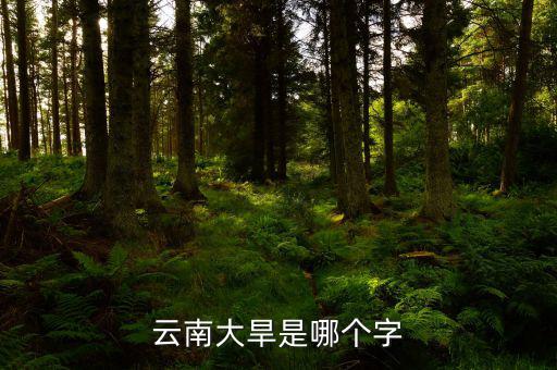 云南大旱是個(gè)什么字，云南大旱是哪個(gè)字