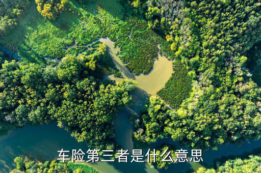 車險(xiǎn)第三者什么意思，車險(xiǎn)第三者是什么意思