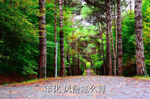 風(fēng)險怎么算,審計(jì)風(fēng)險有哪些?
