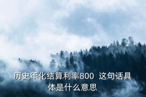 年化結(jié)算利率是什么，歷史年化結(jié)算利率800  這句話具體是什么意思