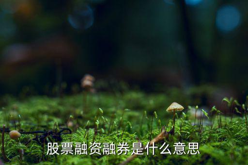 什么是融資融券業(yè)務(wù)，融資融券業(yè)務(wù)是指證券公司向客戶出借資金供其買(mǎi)入證券或者出借