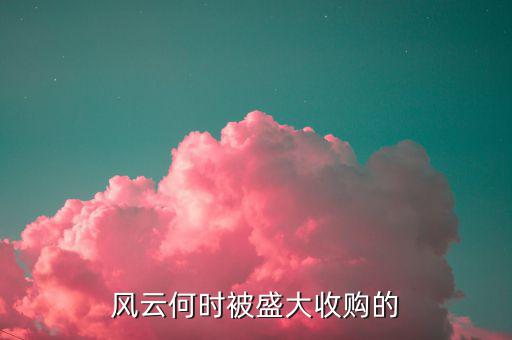 盛大收購風(fēng)云改成什么名字了，風(fēng)云何時被盛大收購的
