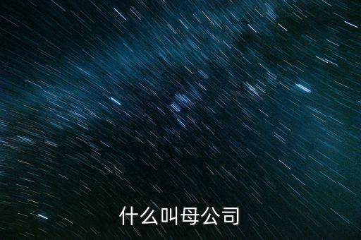 財(cái)務(wù)報(bào)告中母公司是什么意思，財(cái)務(wù)報(bào)表中的合并與母公司是什么意思