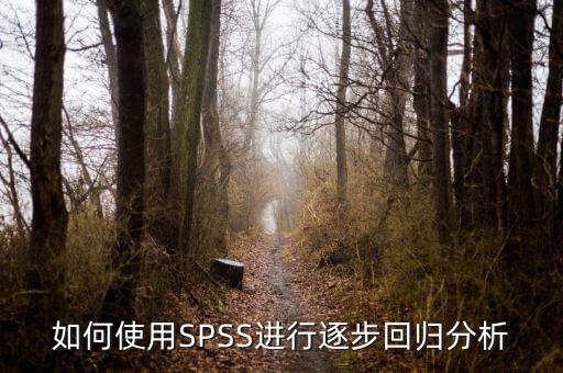 逐步回歸用什么軟件，關(guān)于spss相關(guān)分析和逐步回歸分析之間的一些疑問(wèn)