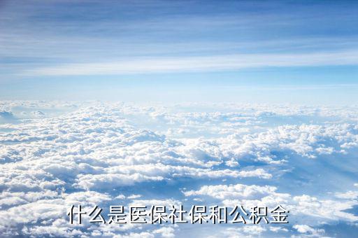 工資社保公積金是什么，什么意思啊誰(shuí)能給我講講社保和公積金什么意思