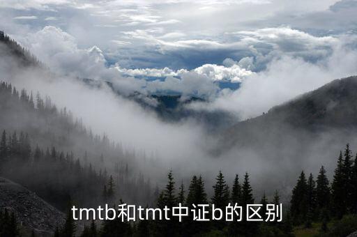 tmt中證b是什么基金，tmtb和tmt中證b的區(qū)別