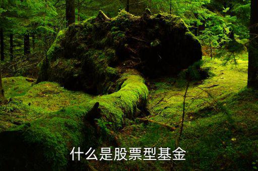 什么是權(quán)重股票基金，什么是股票型基金