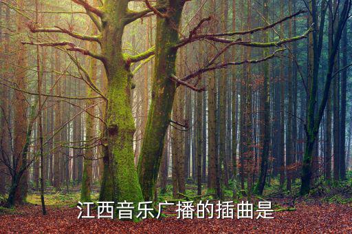 江西高速之歌是什么，江西音樂(lè)廣播的插曲是