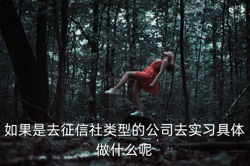 如果是去征信社類(lèi)型的公司去實(shí)習(xí)具體做什么呢