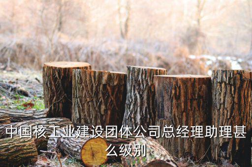 中國核工業(yè)集團什么級別，中國核工業(yè)建設(shè)團體公司總經(jīng)理助理甚么級別