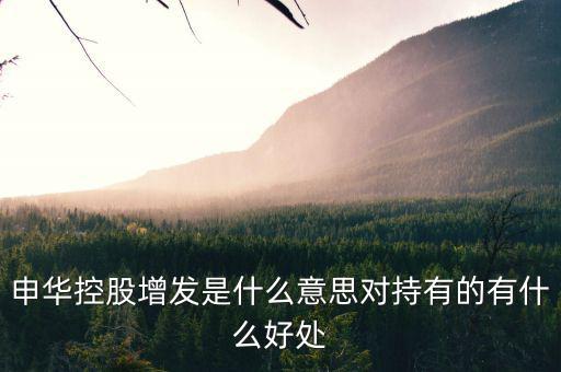 申華控股是什么板塊，申華控股怎么樣