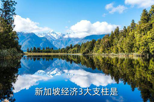 新加坡經濟靠什么，分析新加坡經濟高度發(fā)達的內因和外因