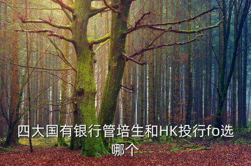 四大去投行有什么優(yōu)勢，女 研究生畢業(yè)想進投行 考研想考北大 清華 復旦或者香港大學 請問這四