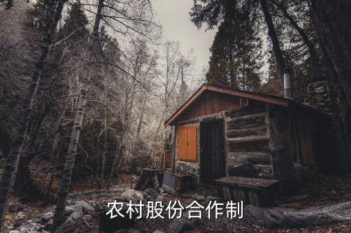 什么是農民股份合作，什么叫農村經濟合作股份制