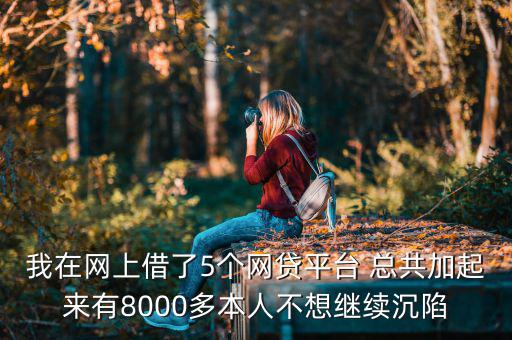 什么網貸能帶8000，今年二十我想貸款八千現(xiàn)有工作分是還款靠譜有好心人幫忙指點