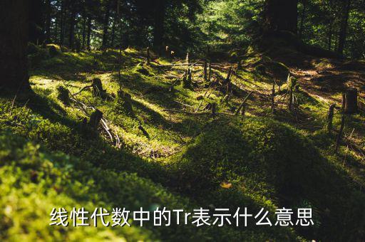 一陽穿四線說明什么，一陽穿四線成交增量的股票會漲嗎