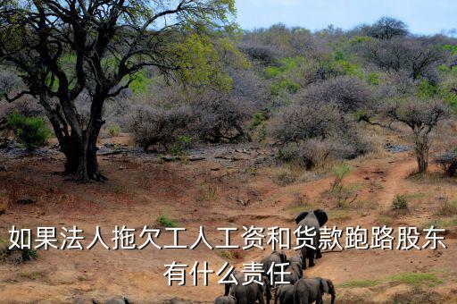 法人跑路屬于什么罪，申請(qǐng)勞動(dòng)仲裁被告用人單位法人代表逃跑了怎么辦他將背負(fù)什么罪
