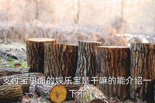 娛樂寶有什么意義，支付寶里面的娛樂寶是干嘛的能介紹一下不