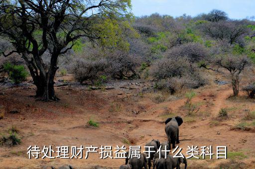 待財(cái)產(chǎn)處理損益是什么類科目，待處理財(cái)產(chǎn)損益屬于哪一類科目