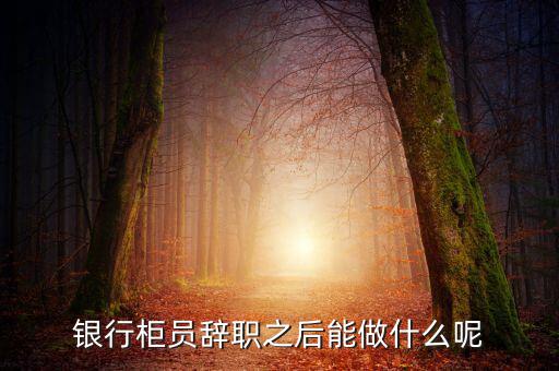 銀行辭職后做什么，銀行柜員辭職之后能做什么呢