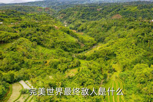 什么是對(duì)手盤(pán)，完美世界最終敵人是什么